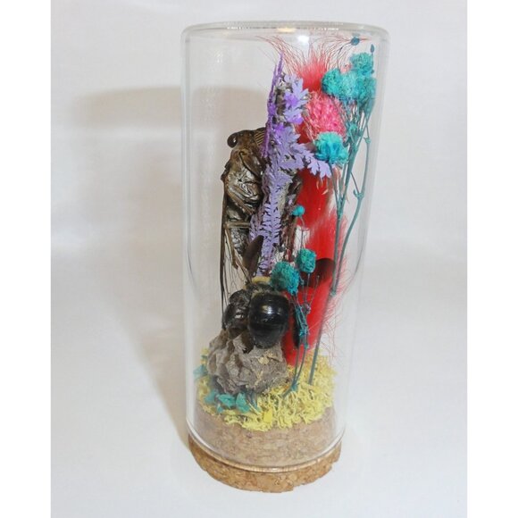 Cicada Wasp Nest & Carpenter Bee Oddity Jar curiosity dome insect taxidermy goth - Picture 11 of 15